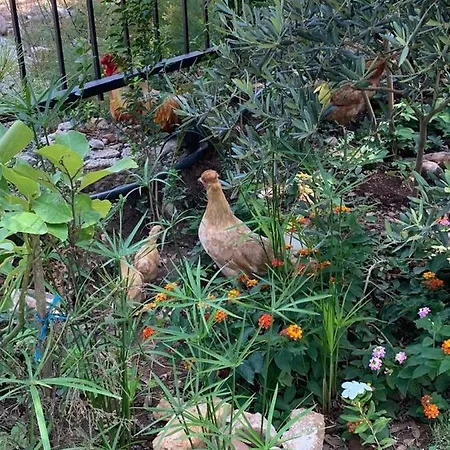 La Casita Szálloda Adrasan