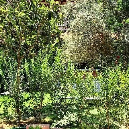 La Casita Boutique For Lycian Way Hikers Retreats Solo Travellers Long And Small Groups